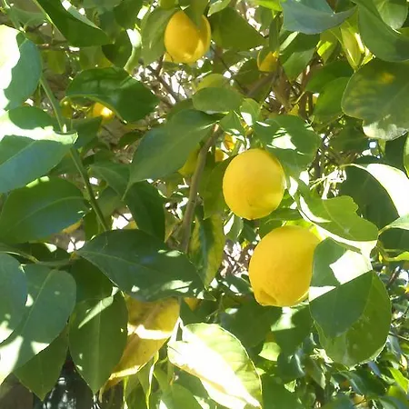 Дом отдыха Due Archi Аркола