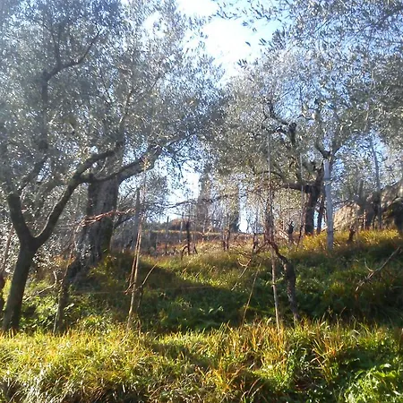 Due Archi Vakantiehuis